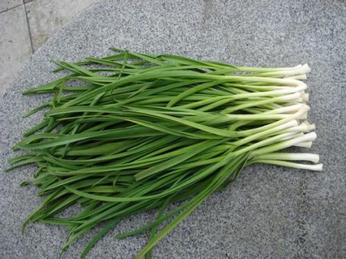 蒜苗的热量高吗,大蒜苗热量