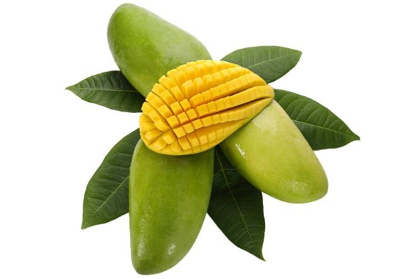 芒果能托运吗,青芒果怎么存放