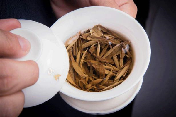 中暑可以喝奶茶吗,预防中暑应该多喝