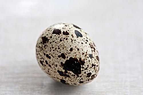 鹌鹑蛋一天吃多少最合适,鹌鹑蛋一天能吃多少