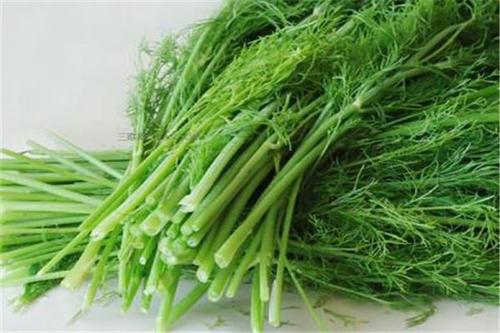 凉拌茴香怎么做好吃,凉拌茴香怎么做好吃窍门