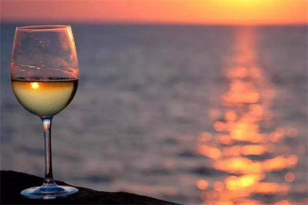 孕妇能喝白葡萄酒吗,孕妇可以喝葡萄酒么