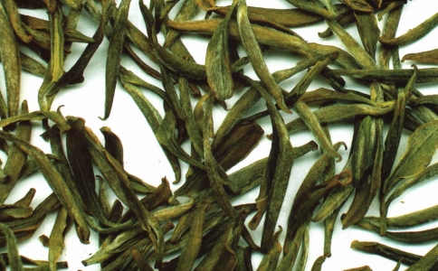 什么的春芽填上适合的词