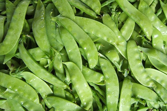 荷兰豆有哪些营养成分,荷兰豆的营养成分