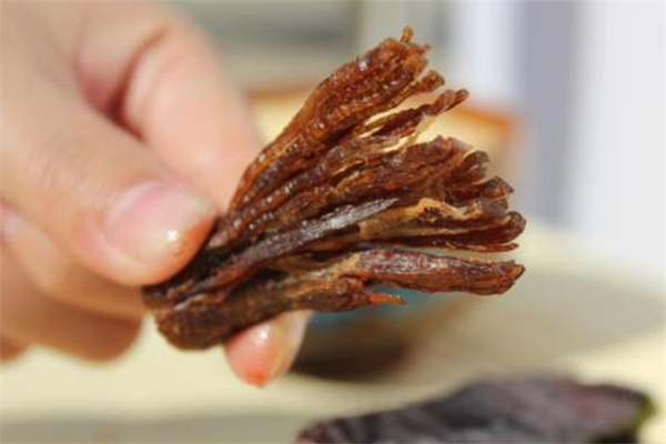 牛肉干和鱼能一起吃吗,牛肉和海鲜可以一起吃吗?