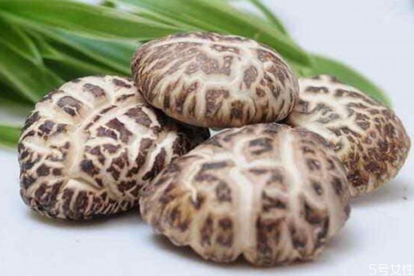 香菇可以怎么保存,香菇最好的保存方法