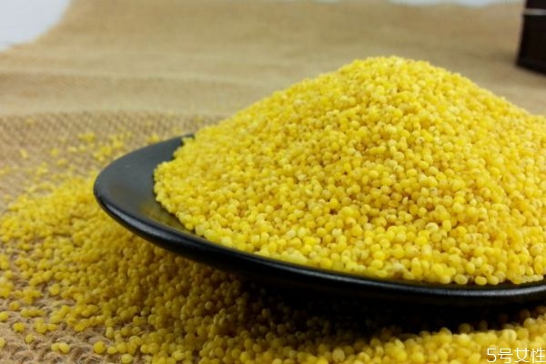 粟米有什么营养和功效,粟米的营养及热量