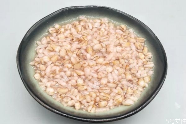 麦仁粥的功效和作用,麦仁的营养价值