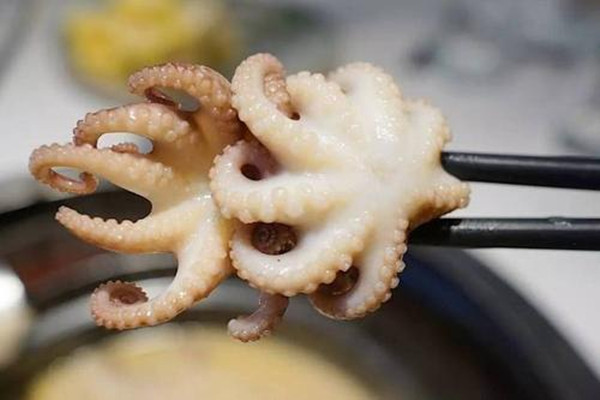 长腿八爪鱼头部内脏能吃吗,八爪鱼头部内脏能吃吗视频