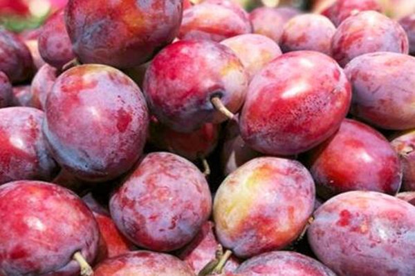 西梅果酱的做法窍门,西梅酱怎么吃