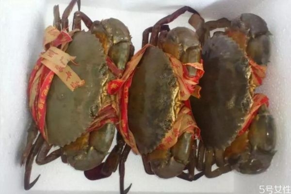 吃青蟹的好处,吃青蟹的好处和坏处