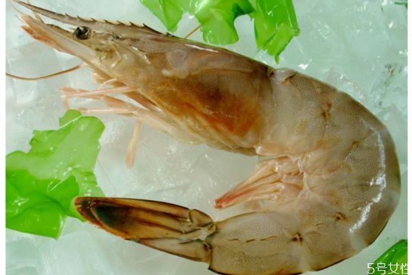 沼虾和明虾有什么区别,沼虾 明虾