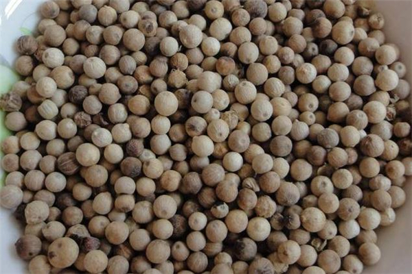 白胡椒为什么不能油炸,胡椒为什么不能用油炸