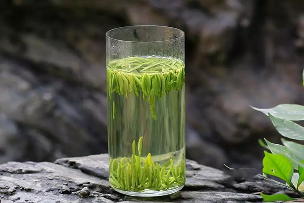 巴山雀舌属于什么茶,巴山雀舌属于什么茶类