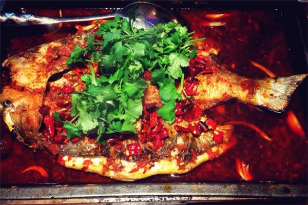 清江鱼和鲶鱼哪个好吃 烤鱼,清江鱼和鲶鱼哪个好吃?