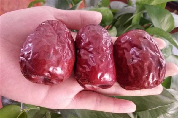 延安狗头枣的来历,狗头枣的来历