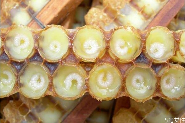 蜂王浆的保质期是多久,过期能吃吗,正品蜂王浆是什么味道的