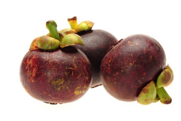 莽吉柿有什么功效,莽吉柿怎么读