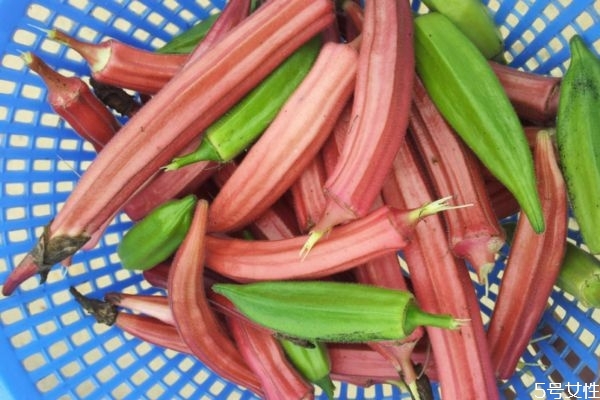 秋葵的营养价值有哪些,秋葵的营养价值及功效和作用