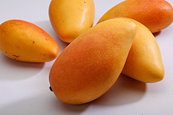 芒果怎么保存不烂,怎样保存芒果不烂