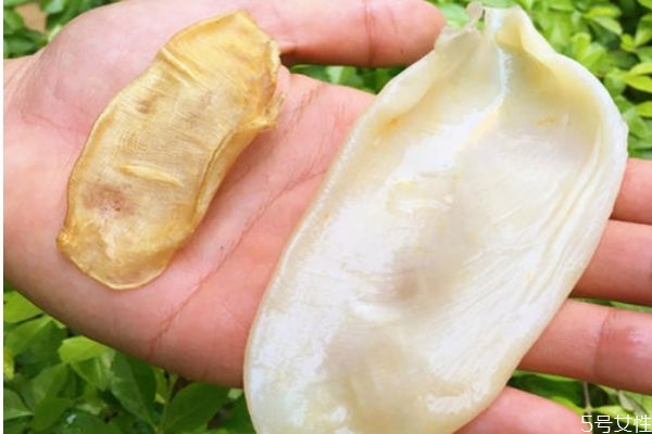 鱼肚的营养价值及功效,鱼肚的营养