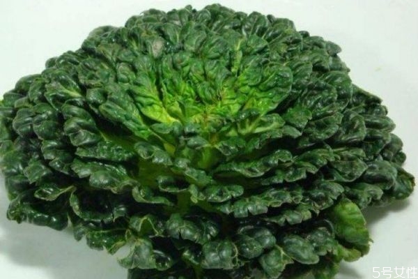 塔菜的功效,塔菜的功效及副作用