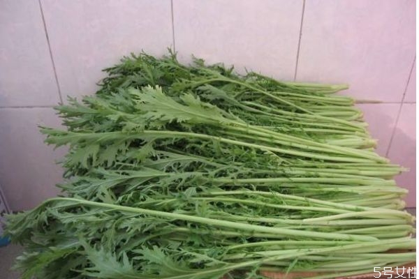 雪里红能吃吗?对人体有该吗?,常吃雪里红对身体有什么好处