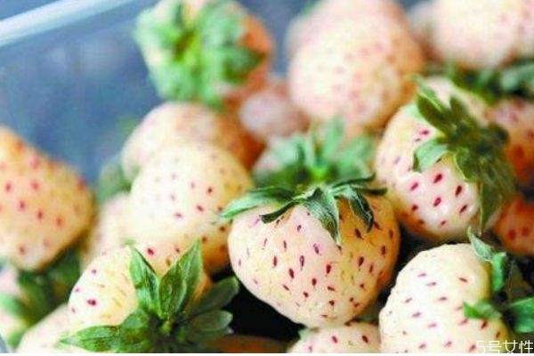 吃菠萝要注意什么,吃完草莓能吃菠萝吗