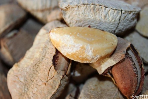 鲍鱼的储存方法是什么,鲍鱼可以冷藏保存吗 鲍鱼的储存方法是什么,鲍鱼可以冷藏保存吗