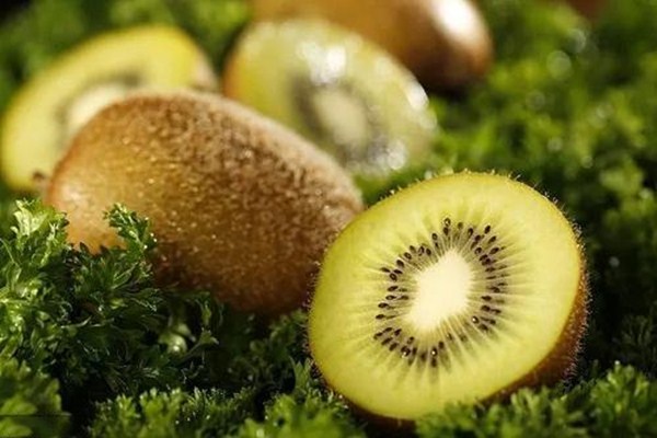 猕猴桃肉是什么颜色 最好,猕猴桃果肉有几种颜色