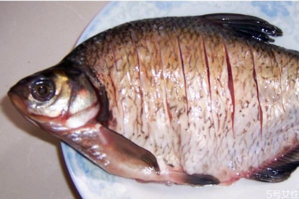 淡水鱼和海水鱼哪个好,淡水鱼好还是海鱼好