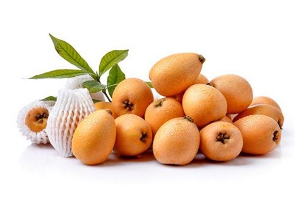 枇杷果怎么吃治咳嗽化痰,枇杷果怎么吃治咳嗽最好 枇杷果怎么吃治咳嗽化痰,枇杷果怎么吃治咳嗽最好