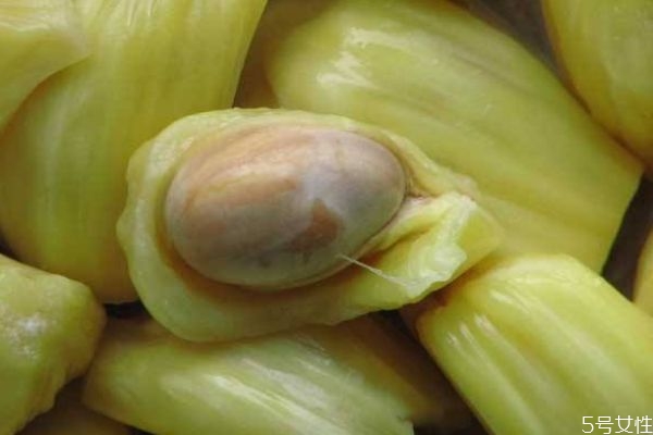 菠萝蜜的核有什么用处,菠萝菠萝蜜的核有什么作用