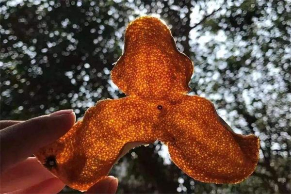 请问陈皮发霉洗干净可以吃,陈皮发霉还可以泡水喝吗