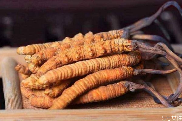 虫草长在什么地方,虫草的生长在哪些地区