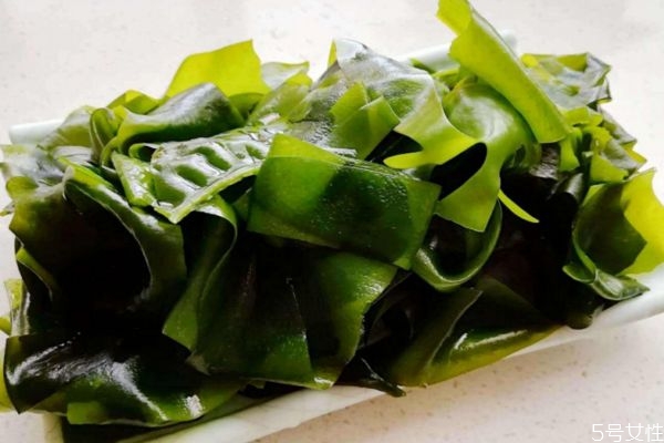 海木耳和木耳的区别,什么是海木耳