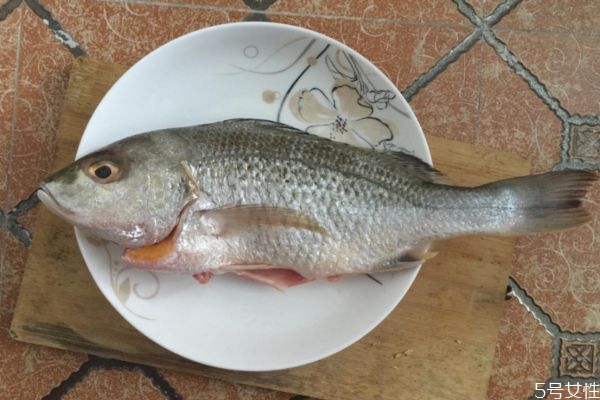 白姑鱼的营养价值,白姑鱼的功效和副作用