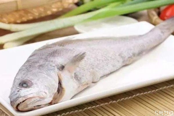 黄姑鱼的做法,黄姑鱼怎么做好吃又简单家常的视频