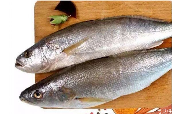 黄姑鱼的营养价值,黄姑鱼的功效和作用