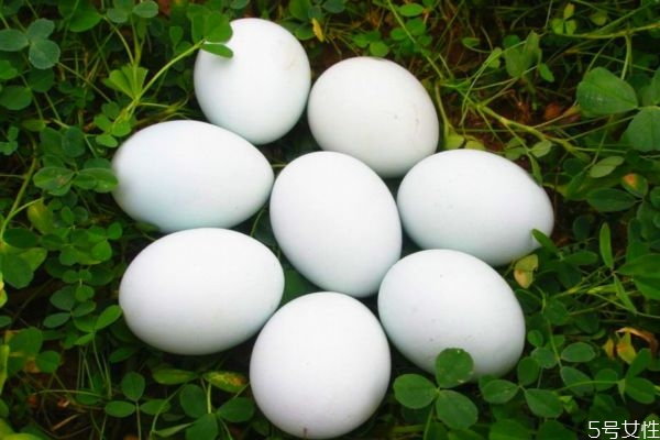 晚上吃鹅蛋会长胖吗,吃鹅蛋会长胖吗