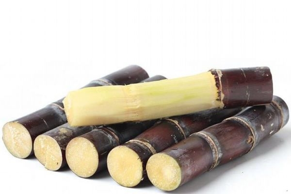 吃甘蔗要注意什么,吃甘蔗的正确方法