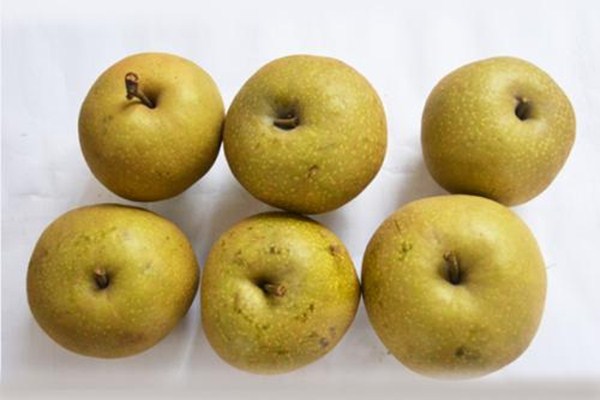 空腹吃梨好不好,空腹不能吃梨