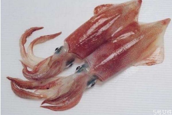 墨鱼怎么做好吃呢?,墨鱼怎么做才好吃