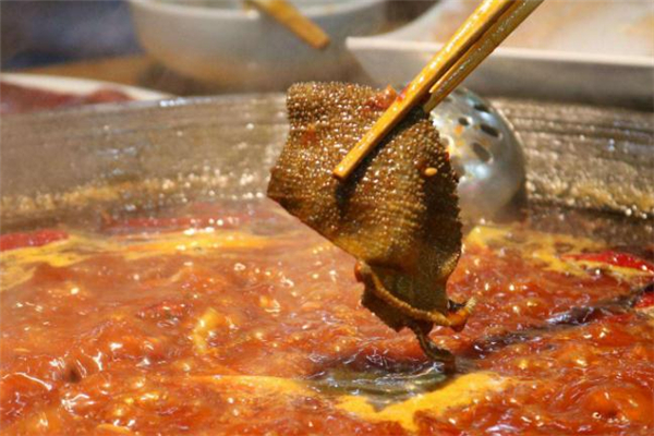 黑毛肚和白毛肚的区别,黑毛肚和白毛肚的区别图片