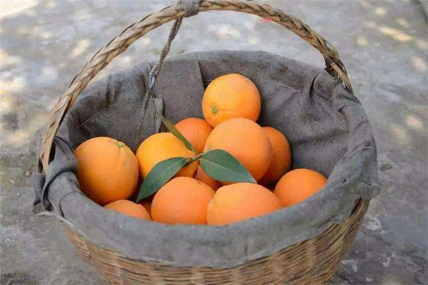 口腔溃疡能吃脐橙吗,溃疡脐橙可以吃吗 口腔溃疡能吃脐橙吗,溃疡脐橙可以吃吗