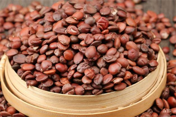 酸枣仁哪些人不能喝,酸枣仁哪些人不能吃