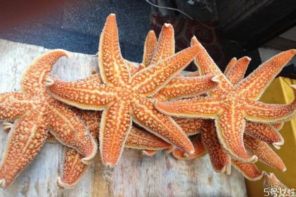 什么样的海星有毒不能吃,吃海星不能吃什么