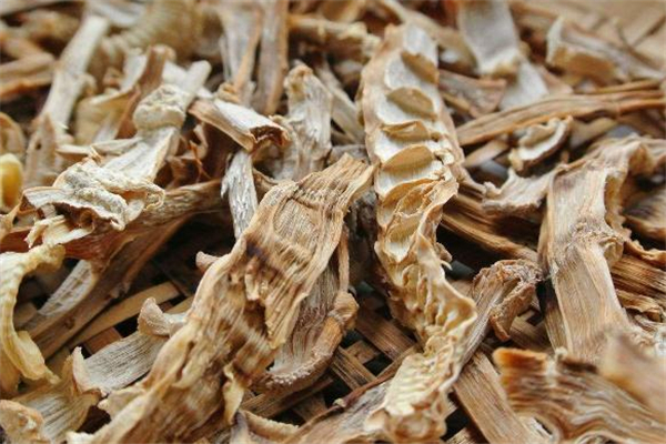 笋干是凉性还是热性,笋干是寒性还是热性