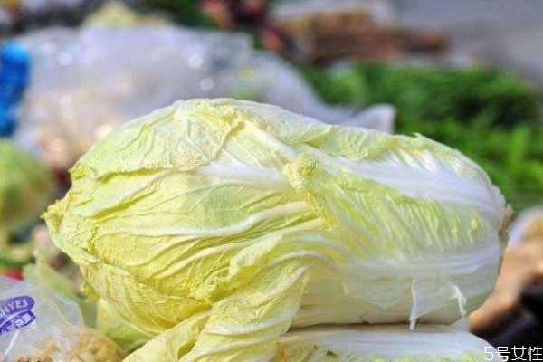 吃水煮白菜的好处,吃水煮白菜对身体有什么好处 吃水煮白菜的好处,吃水煮白菜对身体有什么好处