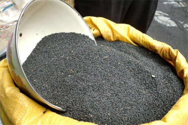 经常吃黑芝麻可以提高免疫力吗,吃黑芝麻可以增强免疫力吗 经常吃黑芝麻可以提高免疫力吗,吃黑芝麻可以增强免疫力吗